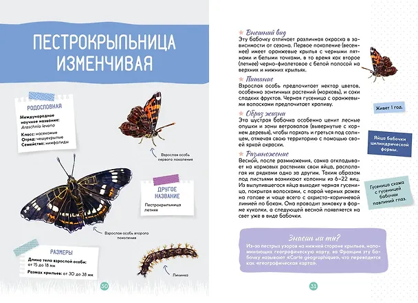 Книга Лесные животные (Ксавье Жапьо) — 17