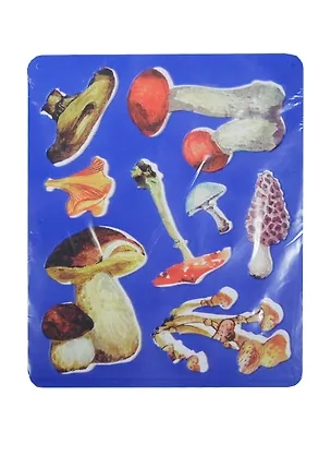 Трафарет пластмассовый фигурный Грибы (9С 450-08) (упаковка) (упак.(10)) 2436649