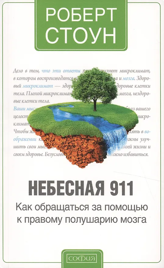 Книга Небесная 911 (Роберт Стоун) — 2