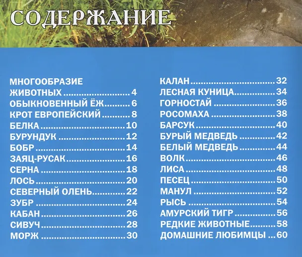 Книга Звери и птицы России.Энциклопедия для детей () — 2
