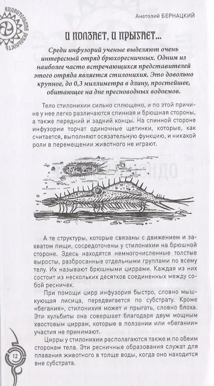Книга Живой мир планеты. От инфузорий до термитов (Анатолий Бернацкий) — 3