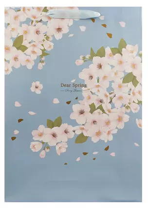 Пакет А3 46*33*10  "Dear spring" жен., бум.мат — 2981991 — 1