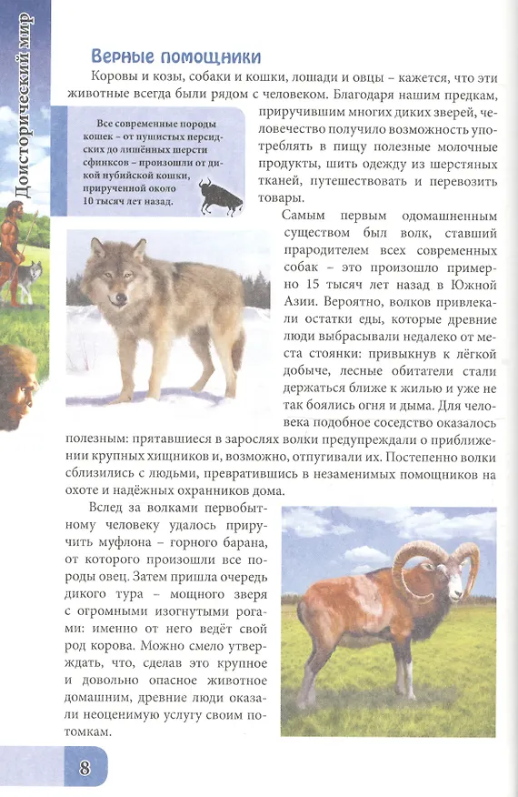 Книга ЭНЦИКЛОПЕДИЯ. В МИРЕ ЗНАНИЙ. ДОИСТОРИЧЕСКИЙ МИР (Ольга Тяжлова) — 4