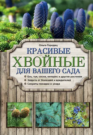 Книга Красивые хвойные для вашего сада (Ольга Городец)