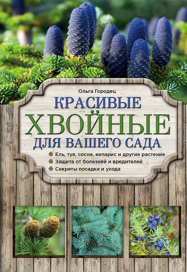 Книга Красивые хвойные для вашего сада (Ольга Городец) — 1