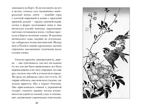 Книга Только роза (Мюриель Барбери) — 5