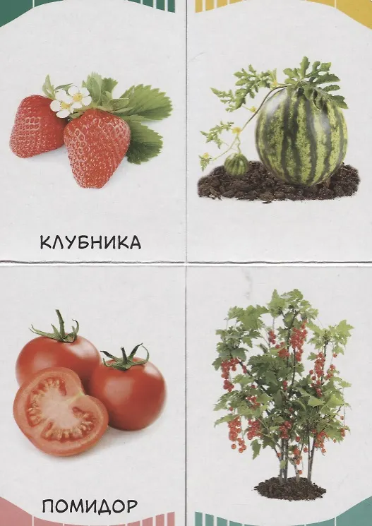 Книга Фрукты, овощи, ягоды () — 3