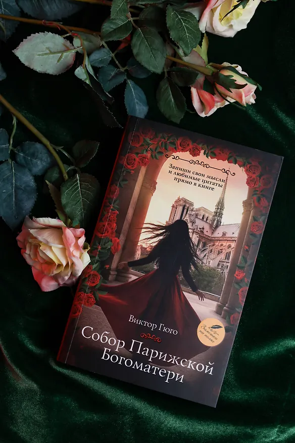 Книга Собор Парижской Богоматери (Виктор Мари Гюго) — 8