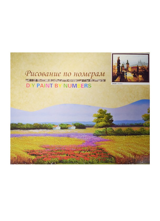 Набор для раскрашивания по номерам (GX6267) (7706743) (40х50см) (коробка) 2483377 — 1