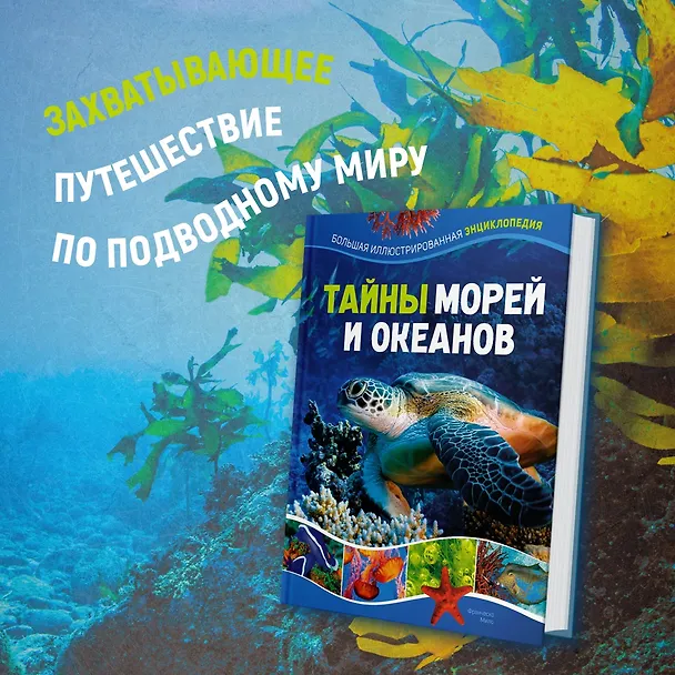Книга Тайны морей и океанов. Большая иллюстрированная энциклопедия (Франческо Мило) — 6