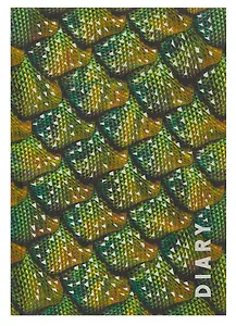 Ежедневник недат. А5 128л "Химера" 7БЦ, ламинация Glitter, тиснение фольгой, офсет