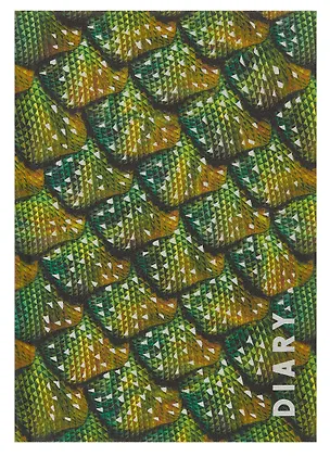 Ежедневник недат. А5 128л "Химера" 7БЦ, ламинация Glitter, тиснение фольгой, офсет 2995091