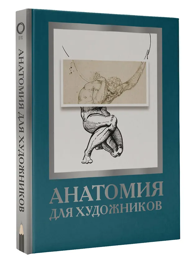 Книга Анатомия для художников (Дженнифер Крауч) — 4