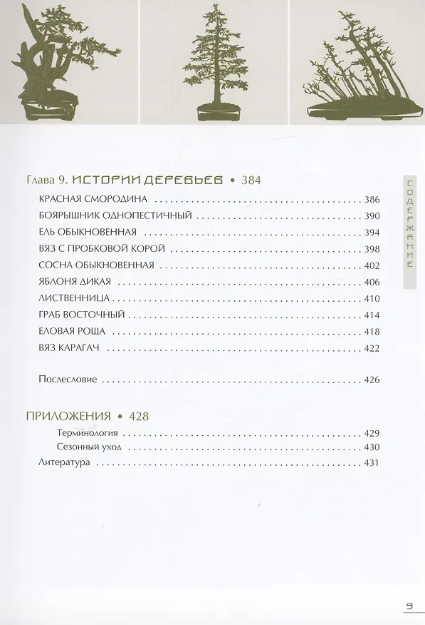 Книга Бонсай. Маленькие деревья для большой радости (Андрей Дарусенков) — 6