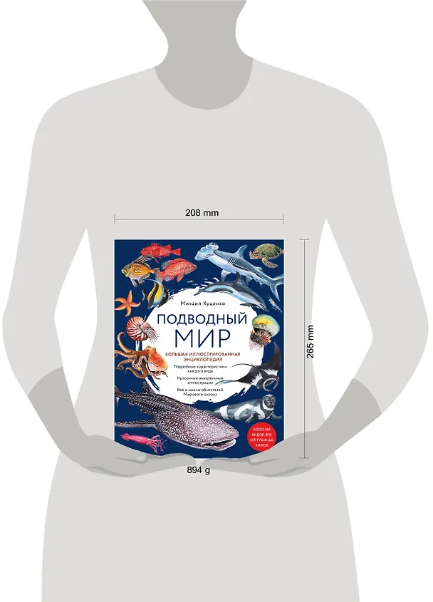 Книга Подводный мир. Большая иллюстрированная энциклопедия (Михаил Куценко) — 6