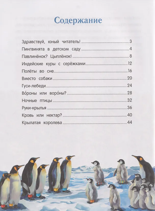 Книга Павлиненок? Цыпленок! Крылатые семьи: факты и игры (Наталья Короткова) — 5
