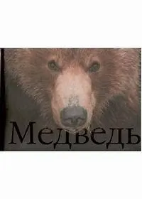 Книга Медведь (фотоальбом) (супер). Горшков С. (Паламед) () — 1