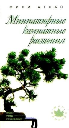 Миниатюрные комнатные растения: Виды, уход, разведение