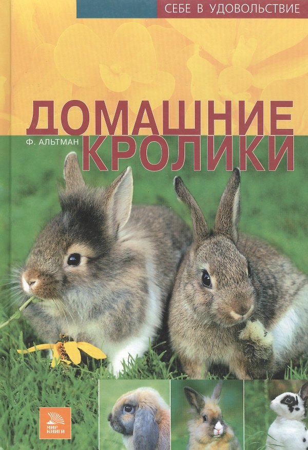 Книга Домашние кролики () — 1