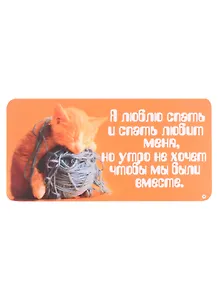КАЗБАЕВ Магнит Цитаты, 11х5,5см, Ц019