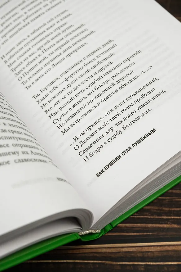 Книга Короче, Пушкин (Александр Архангельский) — 13