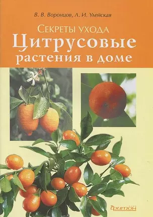 Секреты ухода.Цитрусовые растения в доме — 2294880 — 1