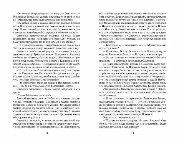Книга Гроза и Тень (Эрин Хантер) — 13