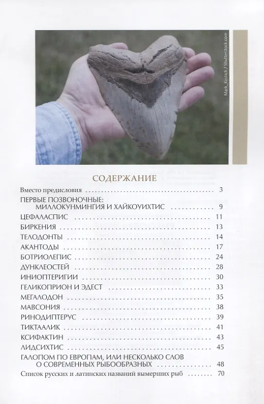 Книга Рыбообразные от начала до наших дней (Наталья Балеева) — 2