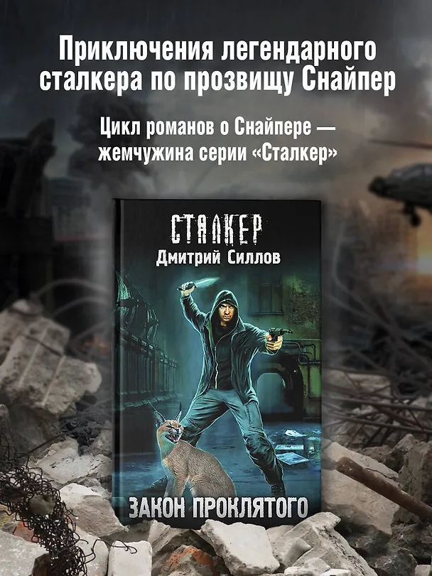 Книга Закон проклятого (Дмитрий Силлов) — 5