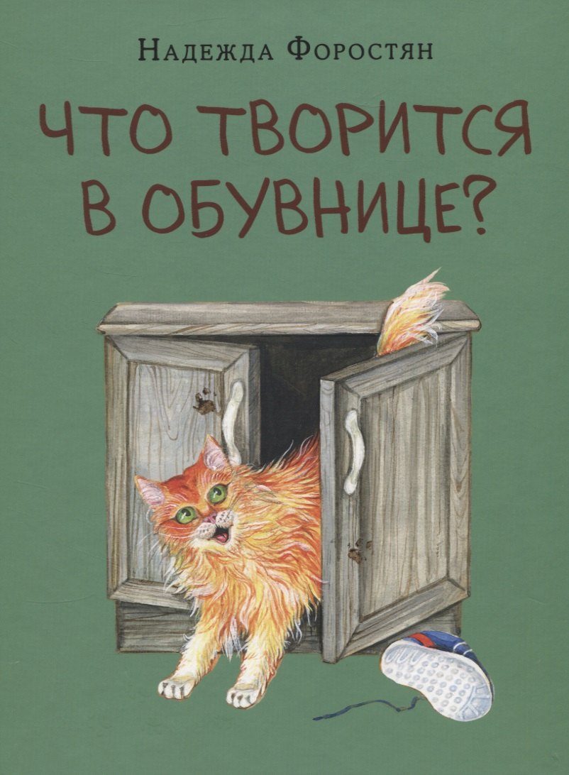 

Что творится в обувнице
