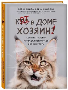 Кот в доме хозяин! Как понять своего питомца, подружиться и не навредить