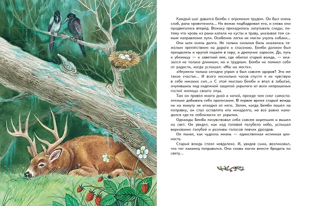 Книга Бемби (ил. М. Митрофанова) (Феликс Зальтен) — 10