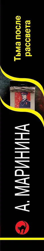 Книга Тьма после рассвета (Александра Маринина) — 4