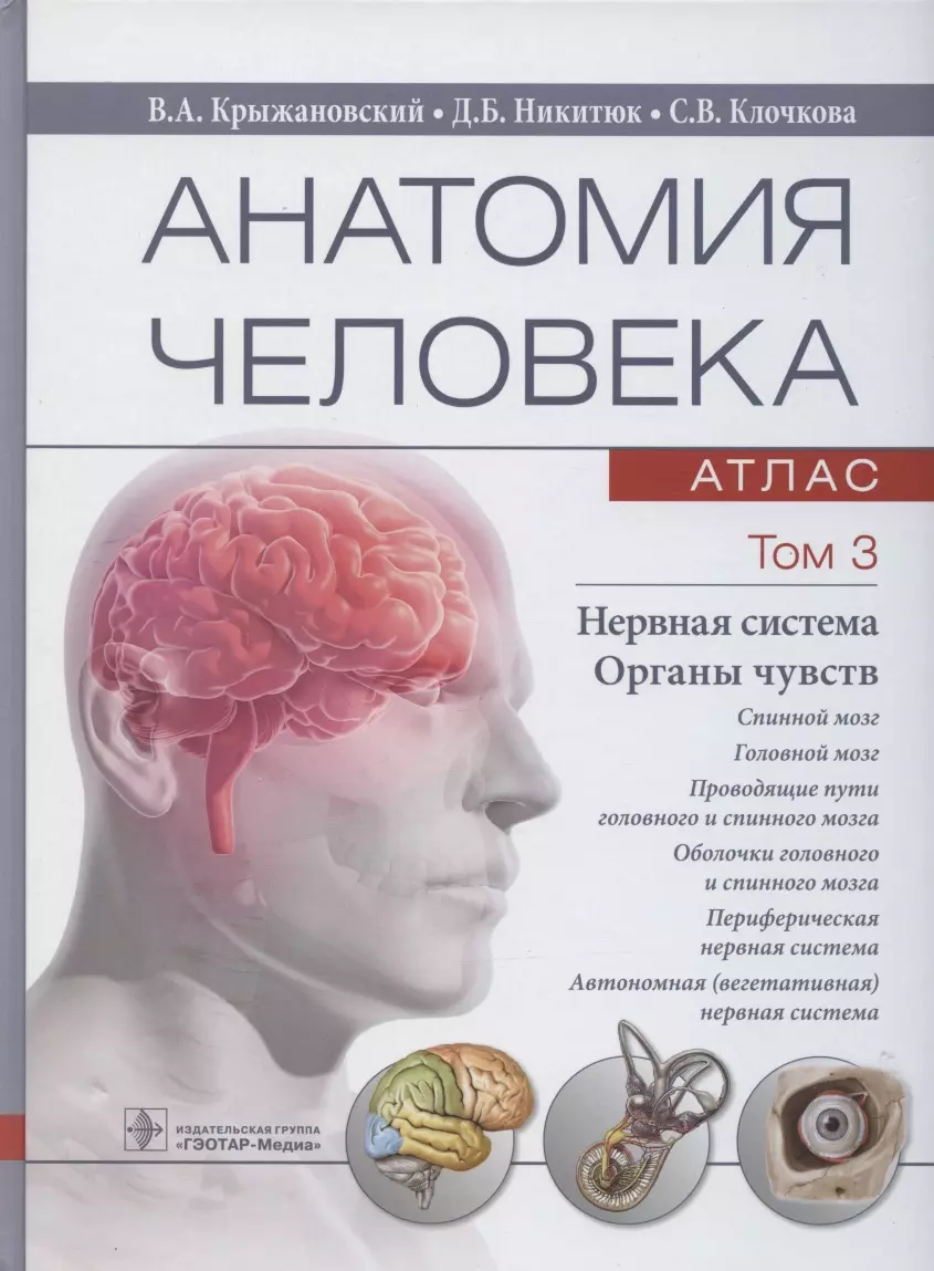 Анатомия человека. Атлас: учебное пособие. В 3-х томах. Том 3. Нервная  система. Органы чувств - купить книгу с доставкой в интернет-магазине ...