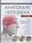 Анатомия человека. Атлас: учебное пособие. В 3-х томах. Том 3. Нервная система. Органы чувств — 2863395 — 1