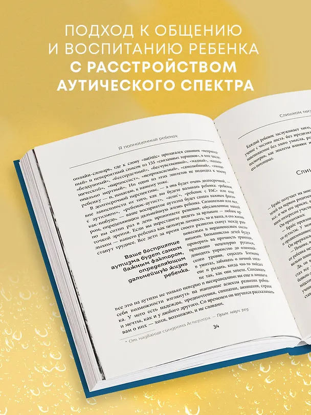 Книга 10 вещей, о которых каждый ребенок с аутизмом хотел бы вам рассказать (Эллен Нотбом) — 6