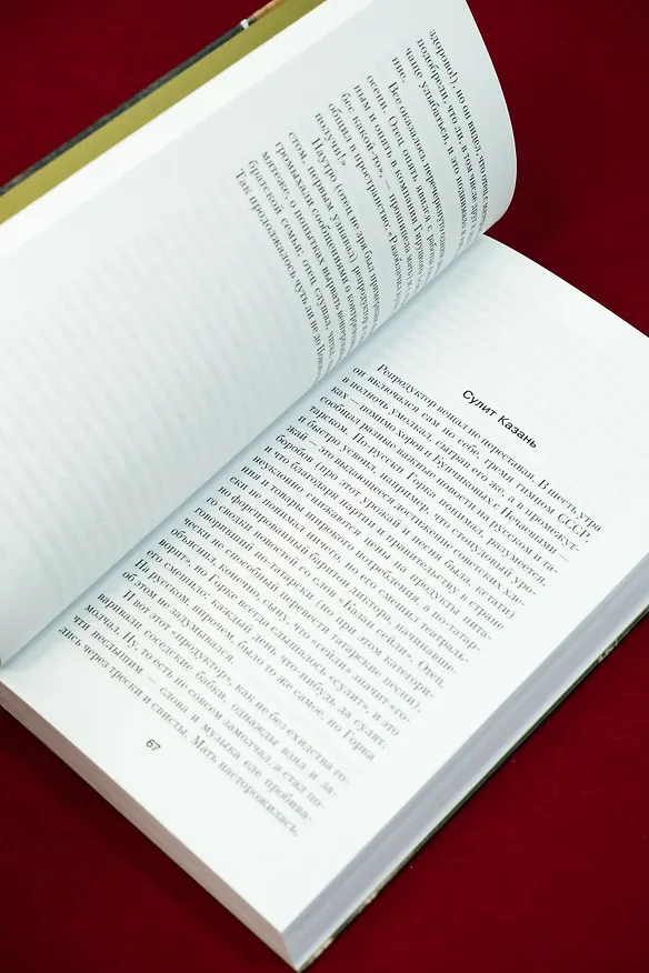 Книга Территория тюрьмы (Юрий Алаев) — 10