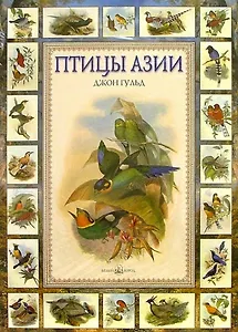 Птицы Азии