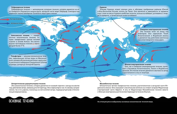 Книга Что? Как? Почему? Мои первые знания про МОРЯ И ОКЕАНЫ (с постером) () — 9