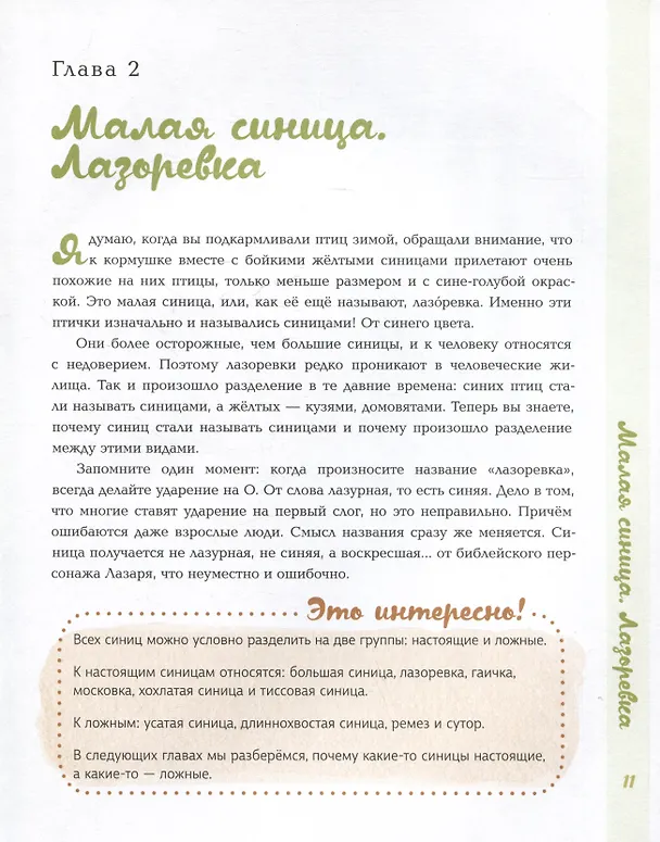 Книга Синицы (Виталий Симуткин) — 4