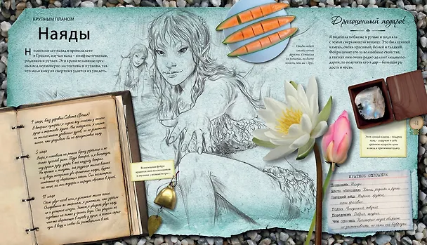 Книга Феи и эльфы (Стелла Колдуэлл) — 5