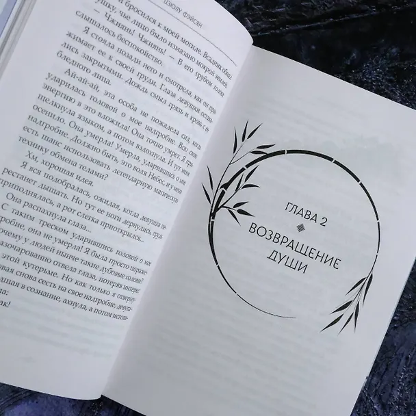 Книга Легенда о Чжаояо. Книга 1 (Цзюлу Фэйсян) — 17
