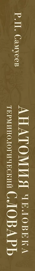 Книга Анатомия человека.Терминологический словарь (Рудольф Самусев) — 3