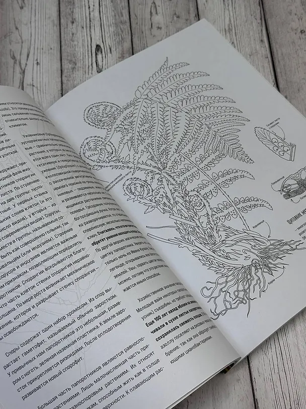 Книга Ботаника. Атлас-раскраска () — 8