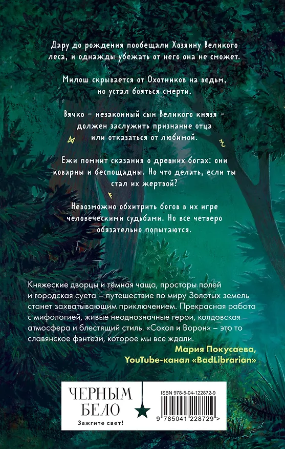 Книга Золотые земли. Сокол и Ворон (Ульяна Черкасова) — 2