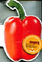 Книга Перец: Рецепты на магните ()