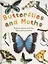 Butterflies and Moths — 2826146 — 1