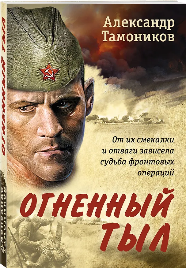 Книга Огненный тыл (Александр Тамоников) — 4
