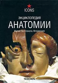 Энциклопедия анатомии. Музей Ла Спекола, Флоренция — 2160365 — 1