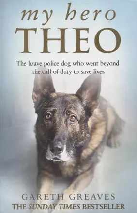 My Hero Theo — 2873007 — 1